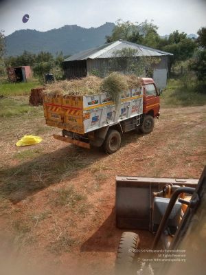 20211226 kacharapattu clearing 3.00.05 PM 11 11.jpg