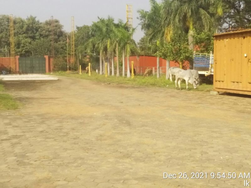 File:20211226 kailasa-in-tvm 095450.jpg