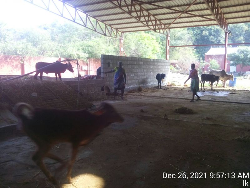 File:20211226 kailasa-in-tvm 095714.jpg