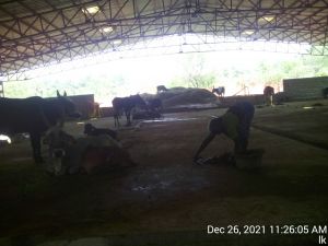 20211226 kailasa-in-tvm 112605.jpg