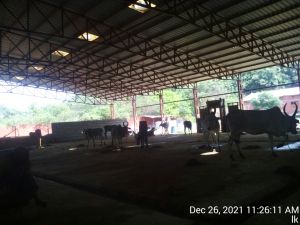 20211226 kailasa-in-tvm 112611.jpg