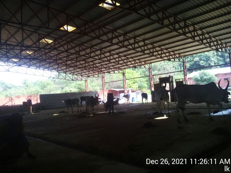 File:20211226 kailasa-in-tvm 112611.jpg