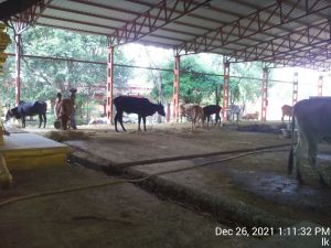 20211226 kailasa-in-tvm 131132.jpg