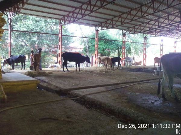 20211226 kailasa-in-tvm 131132.jpg