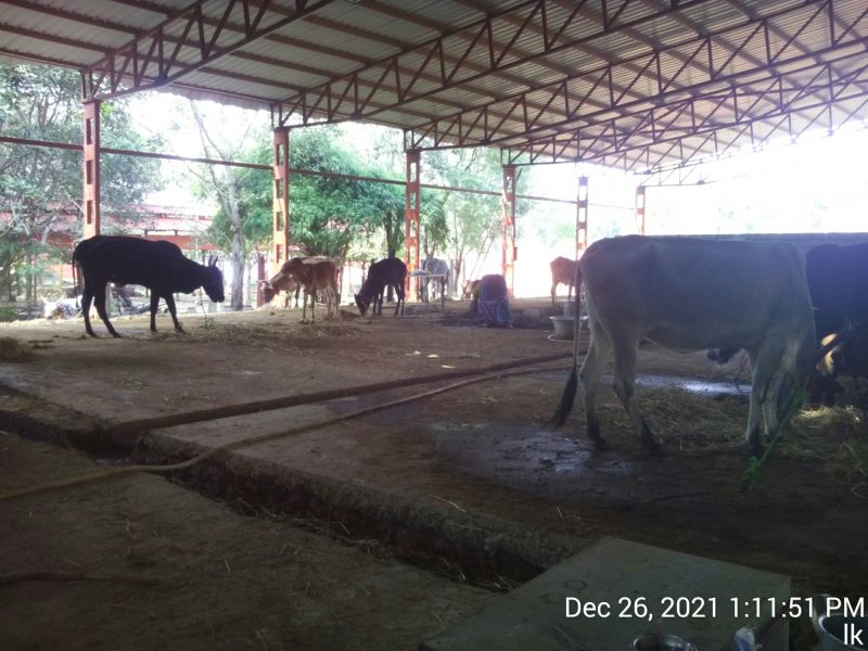 File:20211226 kailasa-in-tvm 131151.jpg