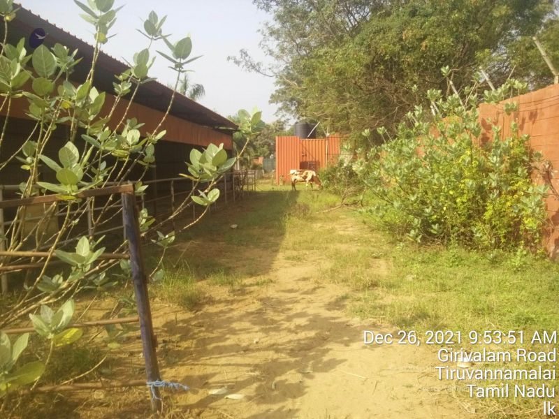 File:20211226 kailasa-tvm TimePhoto 20211226 095351 11.jpg