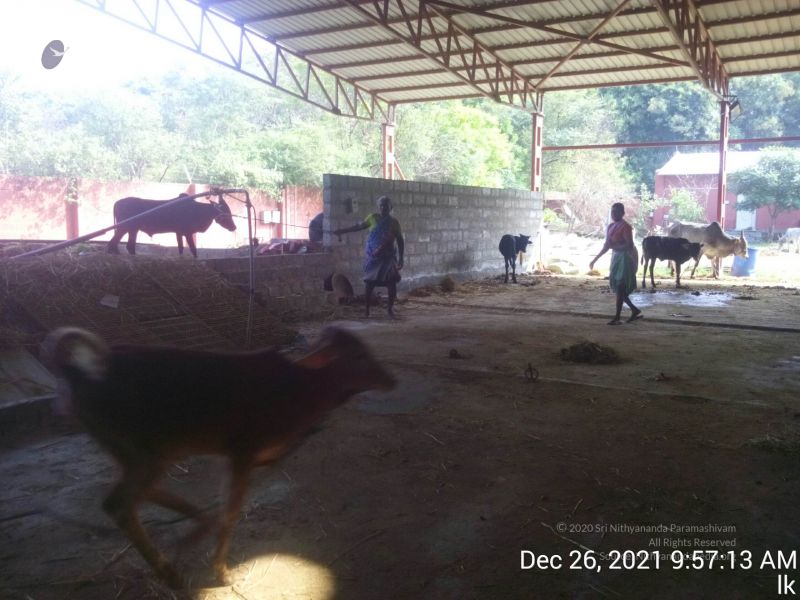 File:20211226 kailasa-tvm TimePhoto 20211226 095714 11.jpg