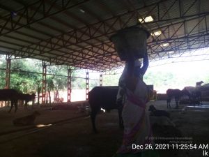 20211226 kailasa-tvm TimePhoto 20211226 112554 11.jpg