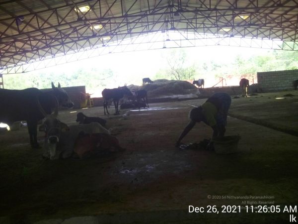 20211226 kailasa-tvm TimePhoto 20211226 112605 11.jpg