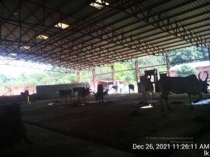 20211226 kailasa-tvm TimePhoto 20211226 112611 11.jpg