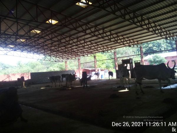 20211226 kailasa-tvm TimePhoto 20211226 112611 11.jpg