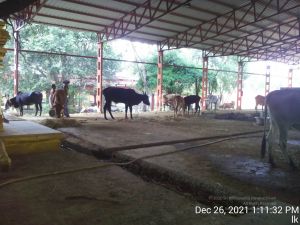 20211226 kailasa-tvm TimePhoto 20211226 131132 11.jpg