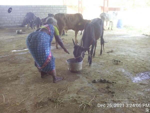 20211226 kailasa-tvm TimePhoto 20211226 152406 11.jpg