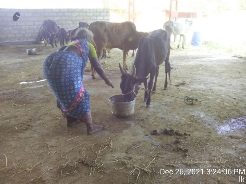 File:20211226 kailasa-tvm TimePhoto 20211226 152406 11.jpg