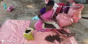 20211226 seeds-preparing-4.01.30 PM.jpg