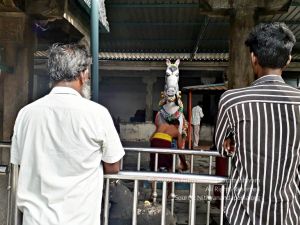 20211227 9-20211228 jayanthi temple 4.04.49 PM (1) 11 11.jpg