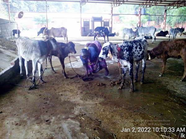 20211227 TimePhoto 20220102 101033 11.jpg