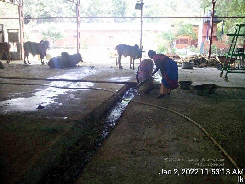 File:20211227 TimePhoto 20220102 115314 11.jpg