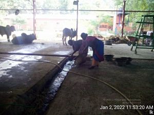 20211227 TimePhoto 20220102 115320 11.jpg