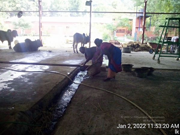 20211227 TimePhoto 20220102 115320 11.jpg