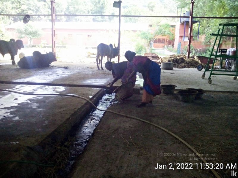 File:20211227 TimePhoto 20220102 115320 11.jpg