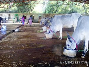 20211227 TimePhoto 20220102 151347 11.jpg