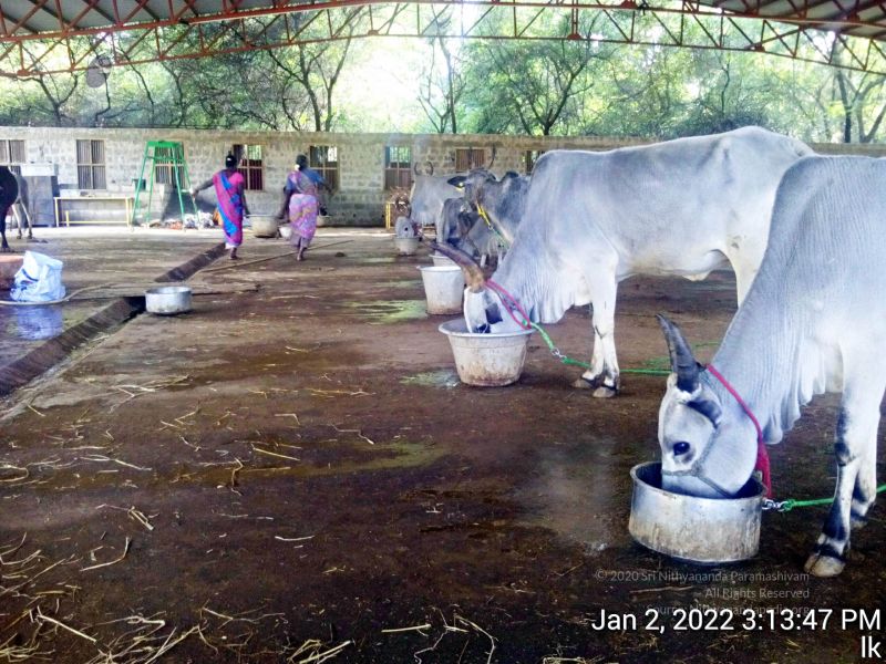 File:20211227 TimePhoto 20220102 151347 11.jpg