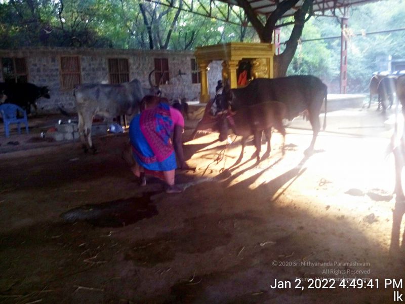 File:20211227 TimePhoto 20220102 164941 11.jpg