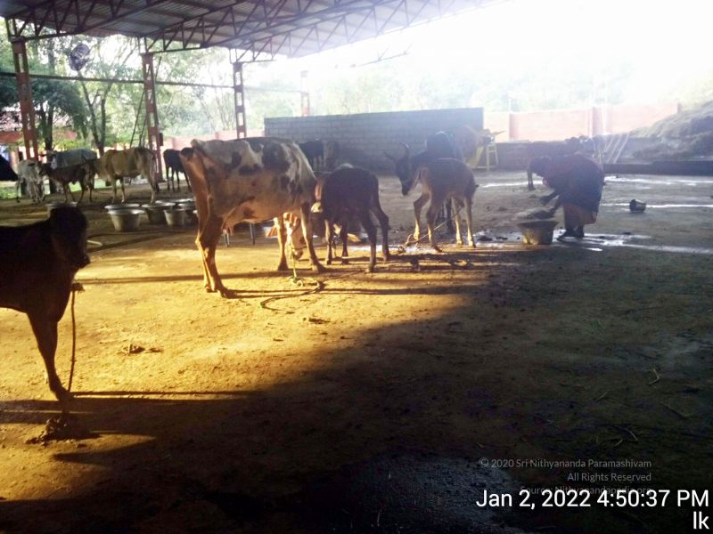 File:20211227 TimePhoto 20220102 165038 11.jpg