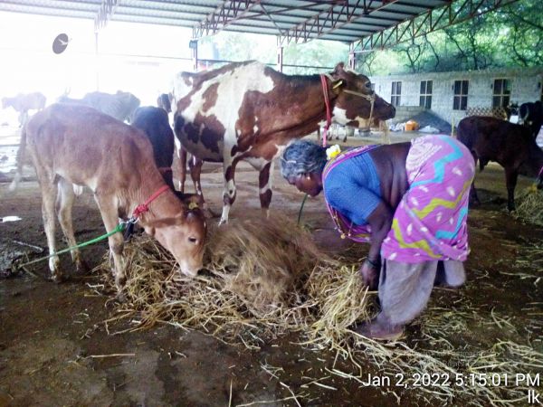 20211227 TimePhoto 20220102 171501 11.jpg