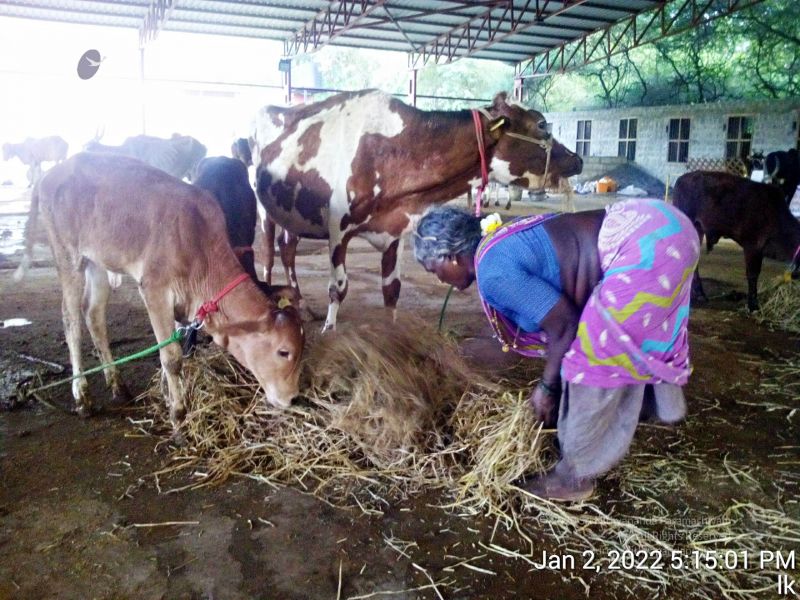 File:20211227 TimePhoto 20220102 171501 11.jpg