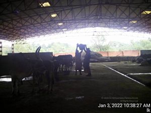 20211227 TimePhoto 20220103 103827 11.jpg