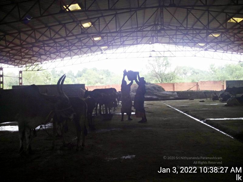 File:20211227 TimePhoto 20220103 103827 11.jpg