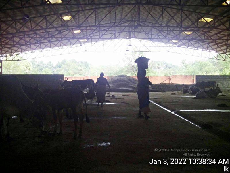 File:20211227 TimePhoto 20220103 103834 11.jpg