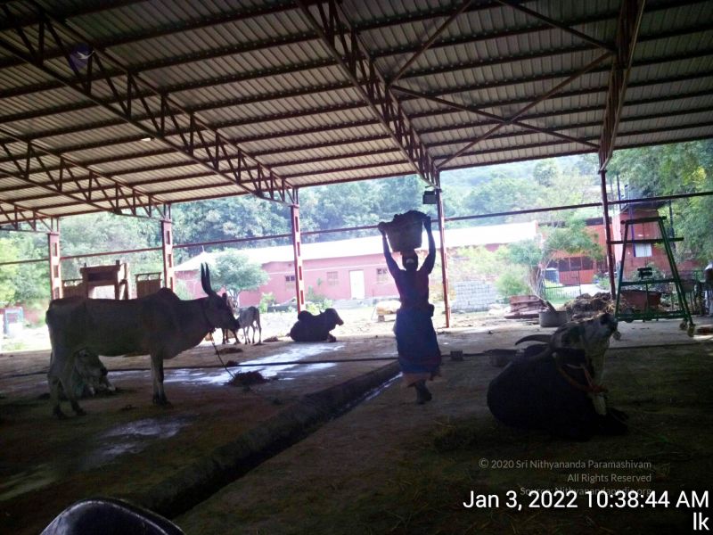 File:20211227 TimePhoto 20220103 103844 11.jpg