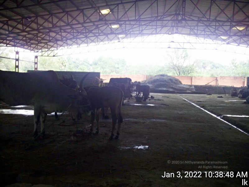 File:20211227 TimePhoto 20220103 103848 11.jpg