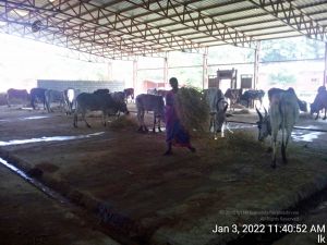 20211227 TimePhoto 20220103 114052 11.jpg