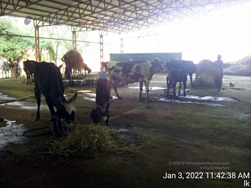 File:20211227 TimePhoto 20220103 114238 11.jpg