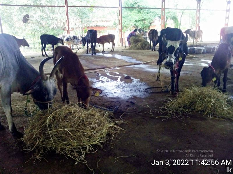 File:20211227 TimePhoto 20220103 114256 11.jpg