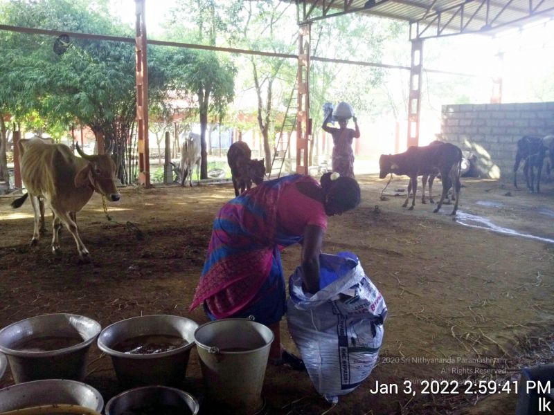 File:20211227 TimePhoto 20220103 145941 11.jpg