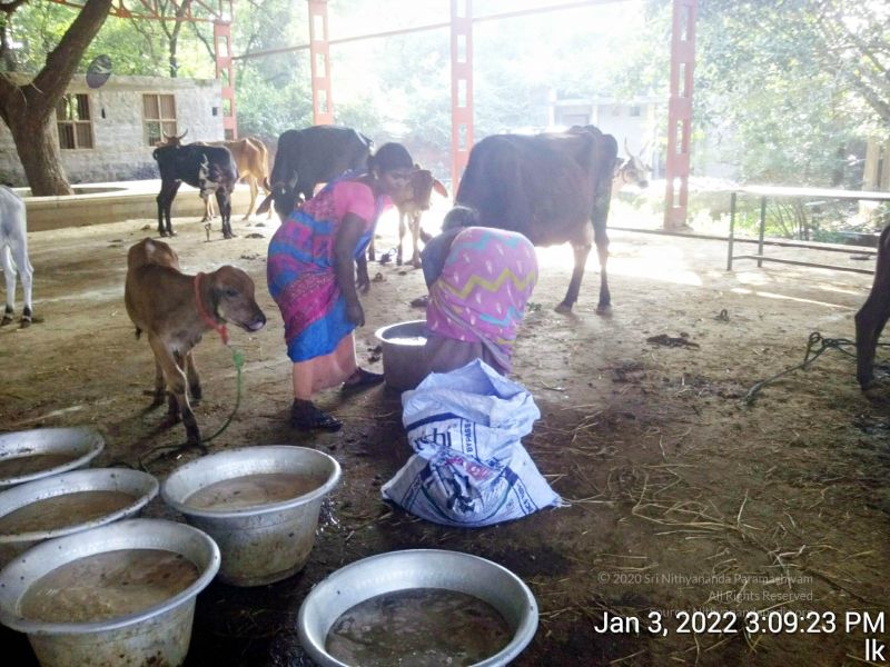 File:20211227 TimePhoto 20220103 150923 11.jpg