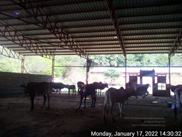 20211227 TimePhoto 20220117 143031 11.jpg