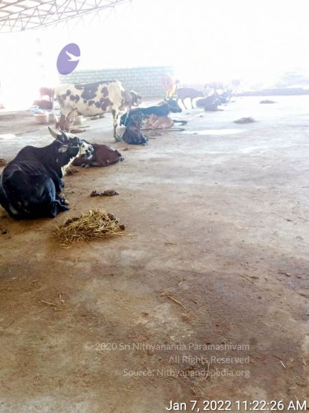 File:20211227 WhatsApp Image 2022-01-07 at 11.32.31 AM 11.jpg