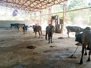 20211227 WhatsApp Image 2022-01-07 at 11.32.33 AM 11.jpg