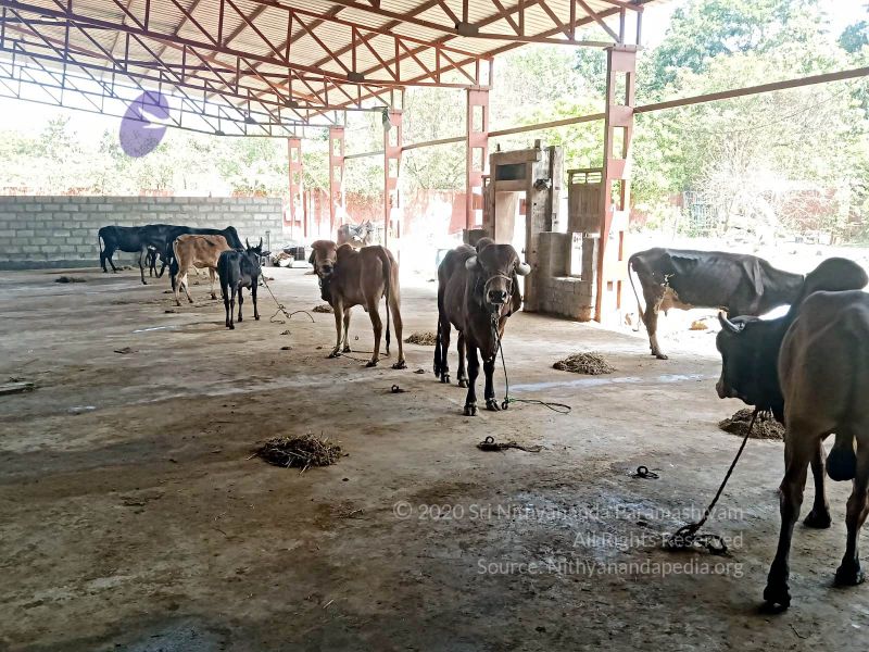 File:20211227 WhatsApp Image 2022-01-07 at 11.32.33 AM 11.jpg