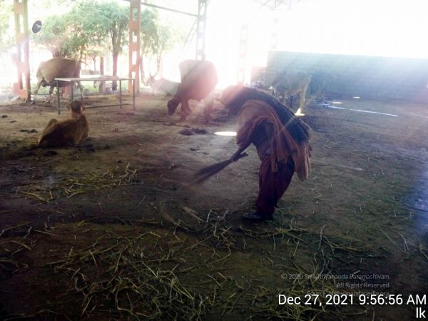 20211227 gaumandir 095656 11.jpg