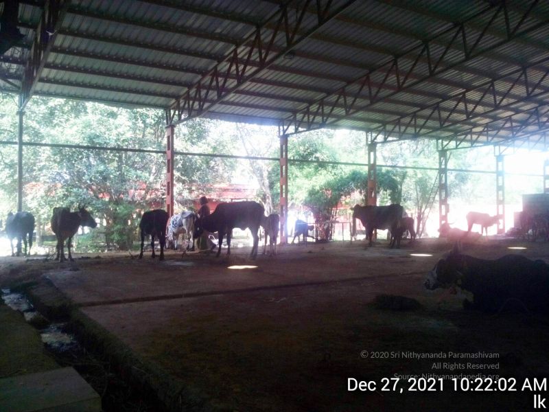 File:20211227 gaumandir 102202 11.jpg