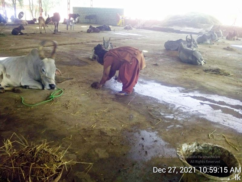 File:20211227 gaumandir 105915 11.jpg