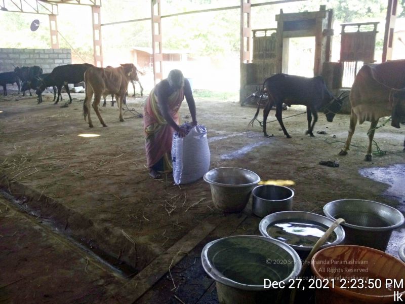 File:20211227 gaumandir 142350 11.jpg