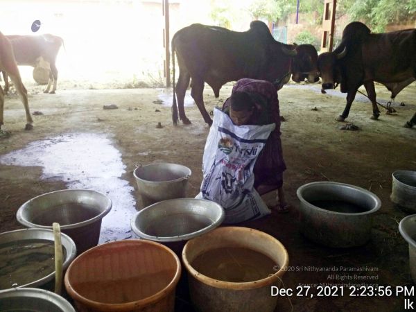 20211227 gaumandir 142356 11.jpg